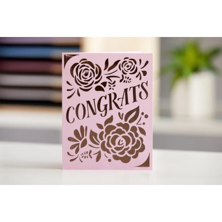 Cricut Joy Üdvözlőlap készlet - Insert Cards Macaroons (1 csomag)