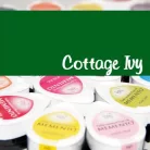 Tsukineko Tintapárna - Cottage Ivy - Memento Dew Drop Ink Pad (1 db)