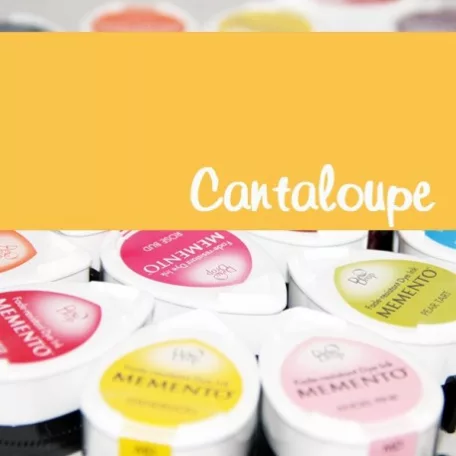 Tsukineko Tintapárna - Cantaloupe - Memento Dew Drop Ink Pad (1 db)