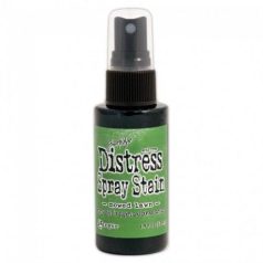   Tintaspray/Szórófejes festék , Distress Spray Stain / Tim Holtz - mowed lawn (57 ml)