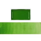 Kuretake Gansai Tambi Akvarell festék #51 Sap Green Light (1 db)