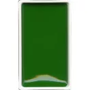 Kuretake Gansai Tambi Akvarell festék - #52 Hooker's Green (1 db)