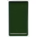 Kuretake Gansai Tambi Akvarell festék #58 Sap Green Deep (1 db)