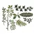 Vágósablon 661206, Thinlits / Tim Holtz - Garden Greens (9 db)