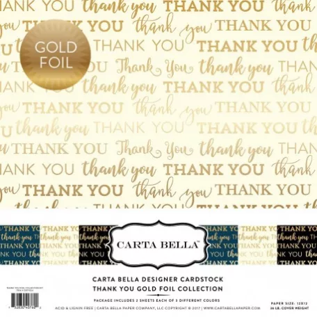 Papírkészlet 12", Designer Cardstock / Thank You - Silver Foil (6 lap)