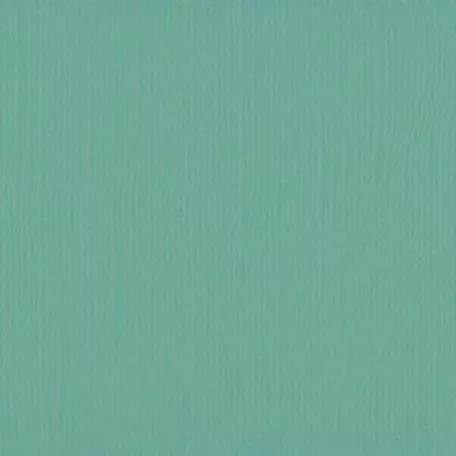 Scrapbook alapkarton 12" (30 cm) - iguana - iguána - Texturált felületű - Cardstock texture (1 ív)