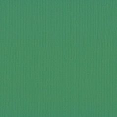   Scrapbook alapkarton 12" (30 cm) - grasshopper - szöcske - Texturált felületű - Cardstock texture (1 ív)