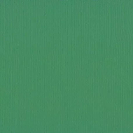 Scrapbook alapkarton 12" (30 cm) - grasshopper - szöcske - Texturált felületű - Cardstock texture (1 ív)