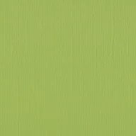   Scrapbook alapkarton 12" (30 cm) - pistachio - pisztácia - Texturált felületű - Cardstock texture (1 ív)
