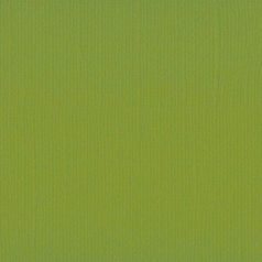   Scrapbook alapkarton 12" (30 cm) - Fern - Páfrány - Texturált felületű - Cardstock texture (1 ív)