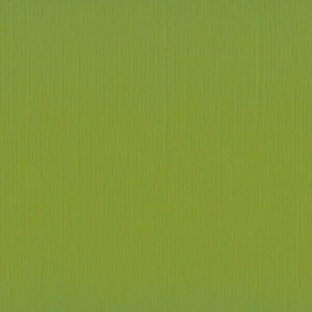 Scrapbook alapkarton 12" (30 cm) - Fern - Páfrány - Texturált felületű - Cardstock texture (1 ív)