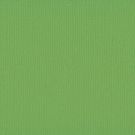 Scrapbook alapkarton 12" (30 cm) - Frog - Béka - Texturált felületű - Cardstock texture (1 ív)