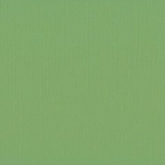   Scrapbook alapkarton 12" (30 cm) - moss - moha - Texturált felületű - Cardstock texture (1 ív)