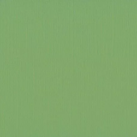 Scrapbook alapkarton 12" (30 cm) - moss - moha - Texturált felületű - Cardstock texture (1 ív)