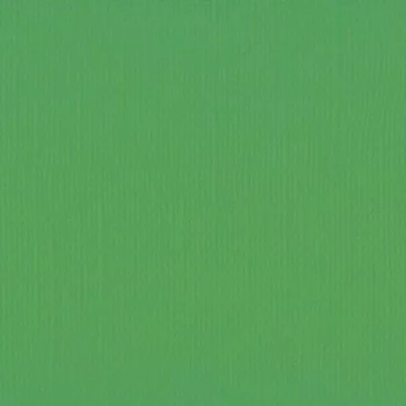 Scrapbook alapkarton 12" (30 cm) - holly - magyal - Texturált felületű - Cardstock texture (1 ív)