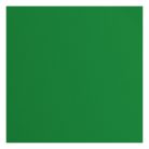 Scrapbook alapkarton 12" (30 cm) - Broccoli - Brokkoli - Texturált felületű - Cardstock texture (1 ív)