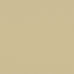   Scrapbook alapkarton 12" (30 cm) - salamander - szalamandra - Texturált felületű - Cardstock texture (1 ív)