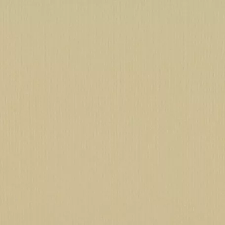 Scrapbook alapkarton 12" (30 cm) - salamander - szalamandra - Texturált felületű - Cardstock texture (1 ív)