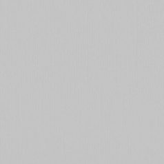   Scrapbook alapkarton 12" (30 cm) - mouse - egér - Texturált felületű - Cardstock texture (1 ív)