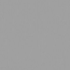   Scrapbook alapkarton 12" (30 cm) - tin - ón - Texturált felületű - Cardstock texture (1 ív)