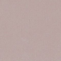   Scrapbook alapkarton 12" (30 cm) - rhino - orrszarvú - Texturált felületű - Cardstock texture (1 ív)