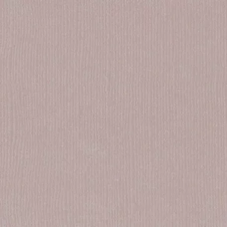 Scrapbook alapkarton 12" (30 cm) - rhino - orrszarvú - Texturált felületű - Cardstock texture (1 ív)