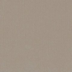   Scrapbook alapkarton 12" (30 cm) - stone - kő - Texturált felületű - Cardstock texture (1 ív)