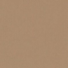   Scrapbook alapkarton 12" (30 cm) - peanut - földimogyoró - Texturált felületű - Cardstock texture (1 ív)