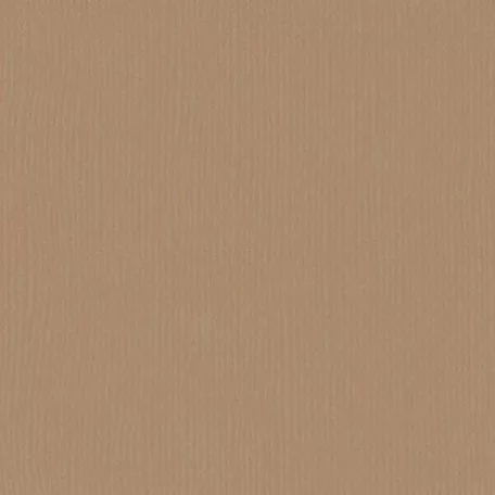 Scrapbook alapkarton 12" (30 cm) - peanut - földimogyoró - Texturált felületű - Cardstock texture (1 ív)