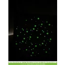 Sötétben világító domborító por LF1577, Glow-In-The-Dark / Fawndamentals - Embossing Powder  -  (1 db)