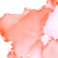   Ranger Alkoholos tinta Shell Pink Tim Holtz Alcohol Ink (14 ml)