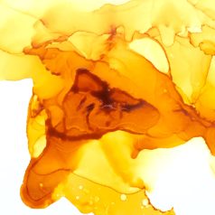   Ranger Alkoholos tinta Honeycomb Tim Holtz Alcohol Ink (14 ml)