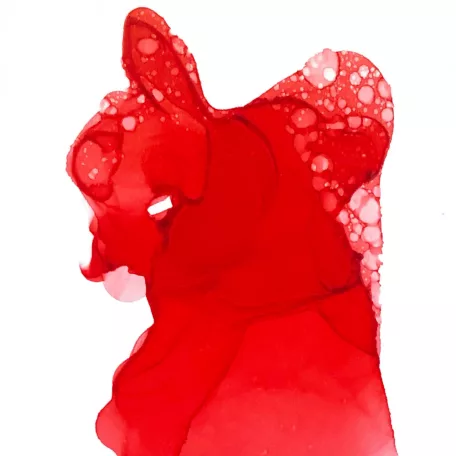 Ranger Alkoholos tinta Poppyfield Tim Holtz Alcohol Ink (14 ml)