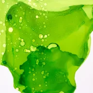 Ranger Alkoholos tinta Limeade Tim Holtz Alcohol Ink (14 ml)