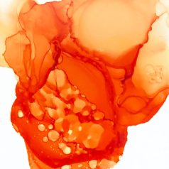   Ranger Alkoholos tinta Valencia Tim Holtz Alcohol Ink (14 ml)