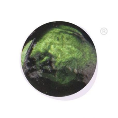 Akrilfesték , Prima Marketing Art Alchemy  / Avocado Green  - Liquid Acrylic (30 ml)