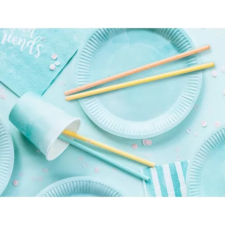 Papír szívószál vegyes színek (10 db)