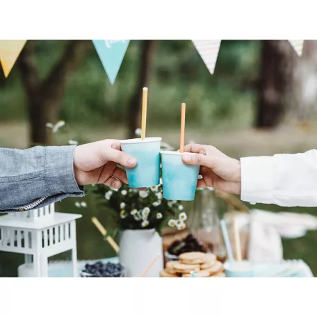 Papír szívószál vegyes színek (10 db)