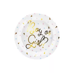 Kisfiú vagy kislány? Party papírtányér (6 db)