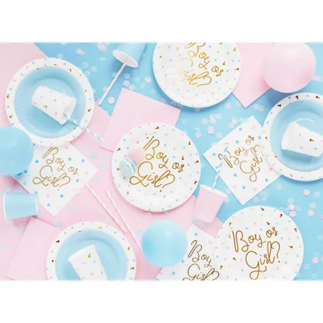 Kisfiú vagy kislány? Party papírtányér (6 db)