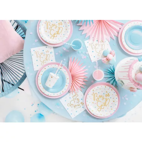 Kisfiú vagy kislány? Party papírtányér (6 db)