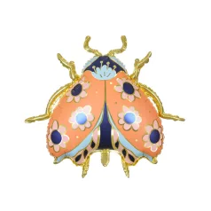 Fólia lufi – Katicabogár