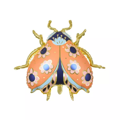 Fólia lufi – Katicabogár