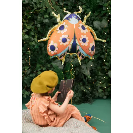 Fólia lufi – Katicabogár