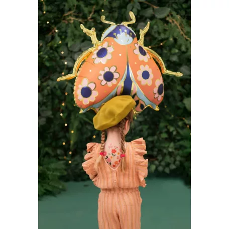 Fólia lufi – Katicabogár