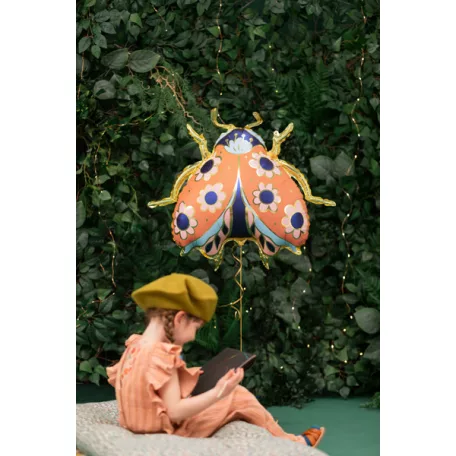 Fólia lufi – Katicabogár