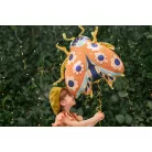 Fólia lufi – Katicabogár