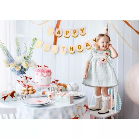 Lovas snack dobozka Pacis party (3 db)