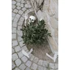 Csontváz dekoráció (1 csomag)