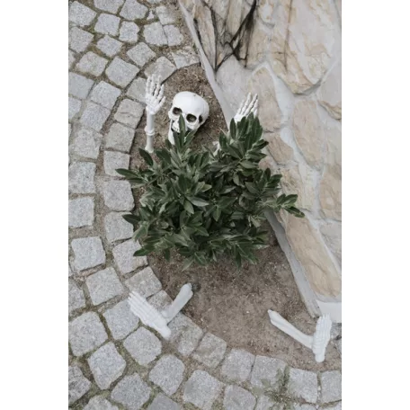 Csontváz dekoráció (1 csomag)